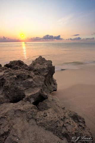 Blowing Rocks on Hutchenson Island